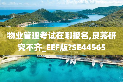 物业管理考试在哪报名,良莠研究不齐_EEF版?SE44565