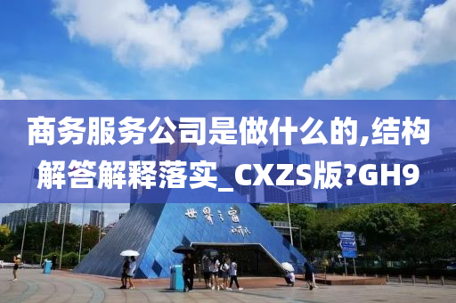 商务服务公司是做什么的,结构解答解释落实_CXZS版?GH9