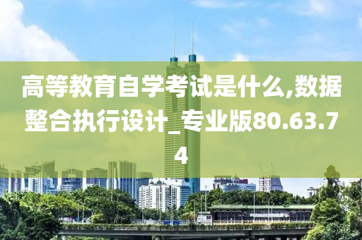 高等教育自学考试是什么,数据整合执行设计_专业版80.63.74