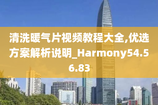 清洗暖气片视频教程大全,优选方案解析说明_Harmony54.56.83