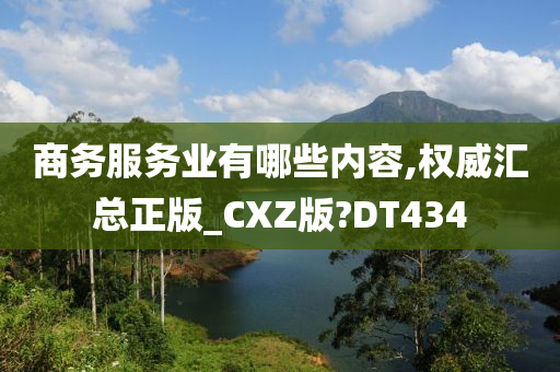 商务服务业有哪些内容,权威汇总正版_CXZ版?DT434