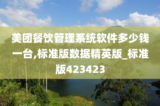 美团餐饮管理系统软件多少钱一台,标准版数据精英版_标准版423423