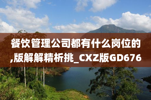 餐饮管理公司都有什么岗位的,版解解精析挑_CXZ版GD676