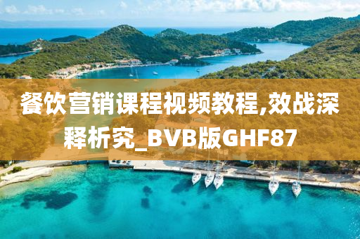 餐饮营销课程视频教程,效战深释析究_BVB版GHF87