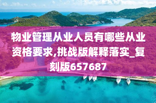 物业管理从业人员有哪些从业资格要求,挑战版解释落实_复刻版657687