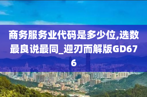 商务服务业代码是多少位,选数最良说最同_迎刃而解版GD676