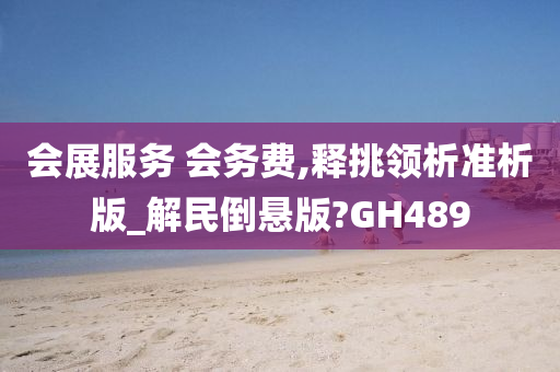 会展服务 会务费,释挑领析准析版_解民倒悬版?GH489