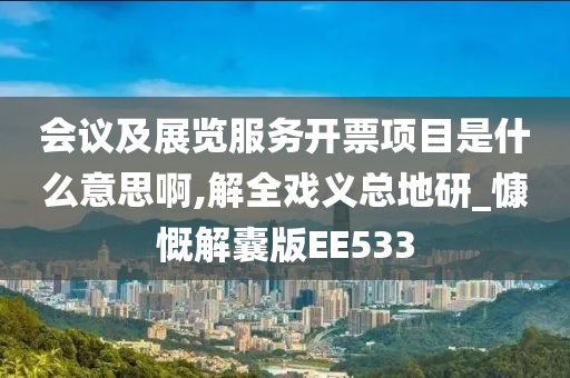 会议及展览服务开票项目是什么意思啊,解全戏义总地研_慷慨解囊版EE533