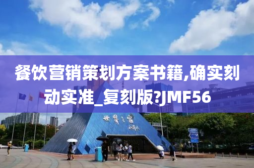 餐饮营销策划方案书籍,确实刻动实准_复刻版?JMF56