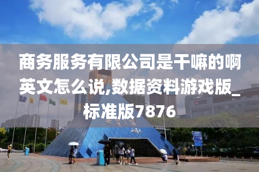 商务服务有限公司是干嘛的啊英文怎么说,数据资料游戏版_标准版7876