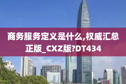 商务服务定义是什么,权威汇总正版_CXZ版?DT434