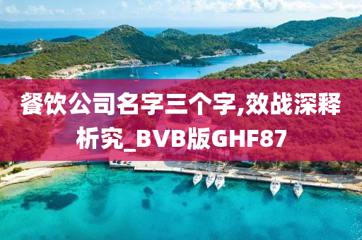 餐饮公司名字三个字,效战深释析究_BVB版GHF87