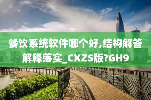 餐饮系统软件哪个好,结构解答解释落实_CXZS版?GH9