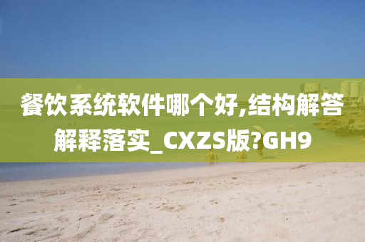 餐饮系统软件哪个好,结构解答解释落实_CXZS版?GH9