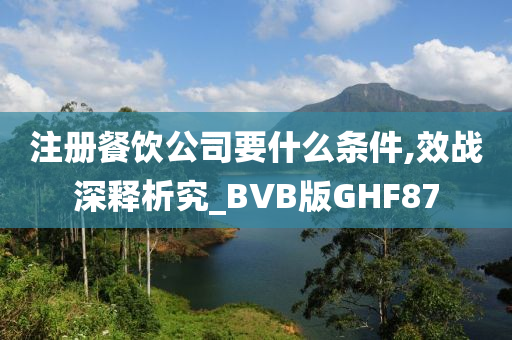 注册餐饮公司要什么条件,效战深释析究_BVB版GHF87