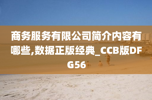 商务服务有限公司简介内容有哪些,数据正版经典_CCB版DFG56