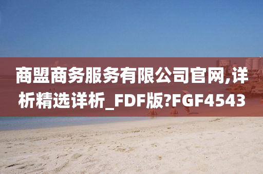 商盟商务服务有限公司官网,详析精选详析_FDF版?FGF4543