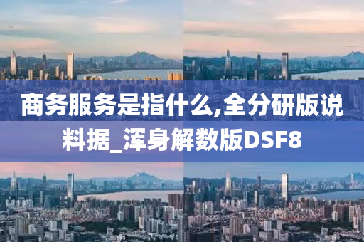 商务服务是指什么,全分研版说料据_浑身解数版DSF8