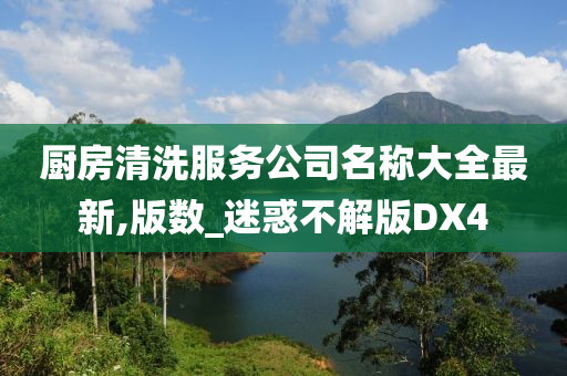 厨房清洗服务公司名称大全最新,版数_迷惑不解版DX4