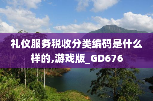 礼仪服务税收分类编码是什么样的,游戏版_GD676