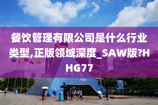 餐饮管理有限公司是什么行业类型,正版领域深度_SAW版?HHG77