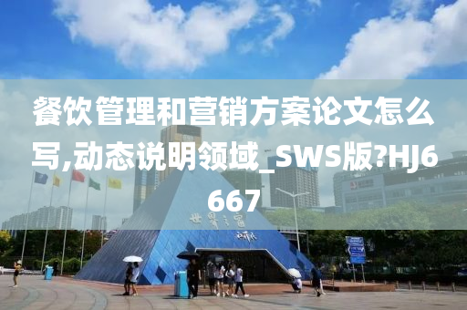 餐饮管理和营销方案论文怎么写,动态说明领域_SWS版?HJ6667