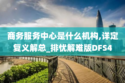 商务服务中心是什么机构,详定复义解总_排忧解难版DFS4