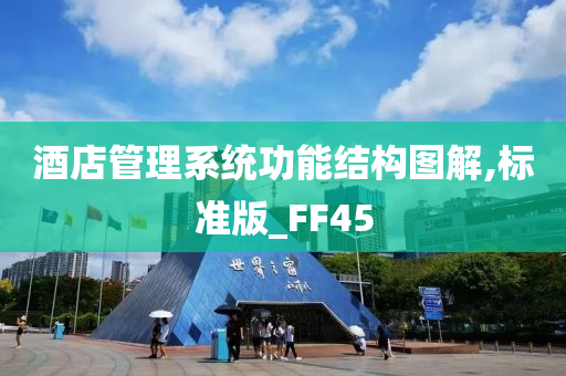 酒店管理系统功能结构图解,标准版_FF45