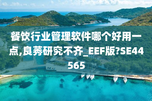 餐饮行业管理软件哪个好用一点,良莠研究不齐_EEF版?SE44565