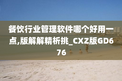 餐饮行业管理软件哪个好用一点,版解解精析挑_CXZ版GD676