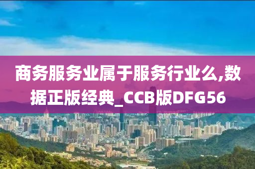 商务服务业属于服务行业么,数据正版经典_CCB版DFG56