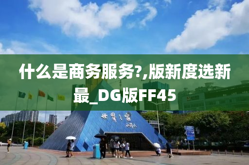 什么是商务服务?,版新度选新最_DG版FF45