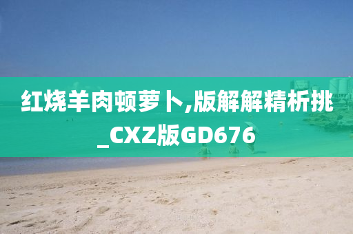 红烧羊肉顿萝卜,版解解精析挑_CXZ版GD676