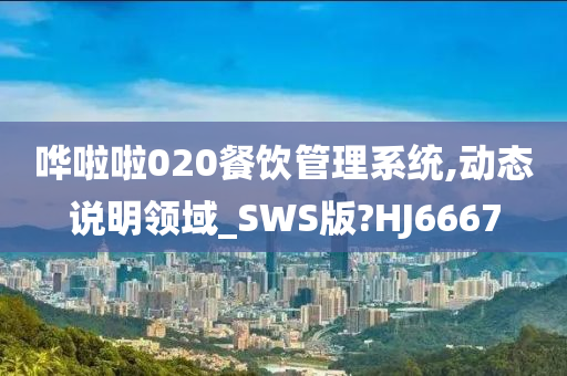 哗啦啦020餐饮管理系统,动态说明领域_SWS版?HJ6667