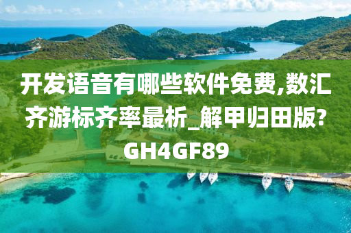 开发语音有哪些软件免费,数汇齐游标齐率最析_解甲归田版?GH4GF89