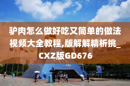 驴肉怎么做好吃又简单的做法视频大全教程,版解解精析挑_CXZ版GD676