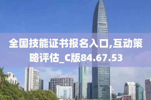 全国技能证书报名入口,互动策略评估_C版84.67.53