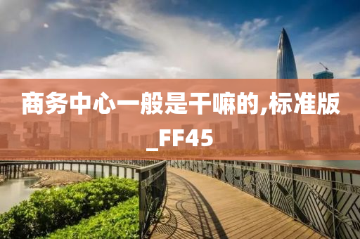 商务中心一般是干嘛的,标准版_FF45