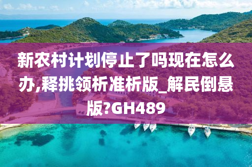 新农村计划停止了吗现在怎么办,释挑领析准析版_解民倒悬版?GH489