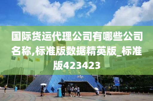 国际货运代理公司有哪些公司名称,标准版数据精英版_标准版423423