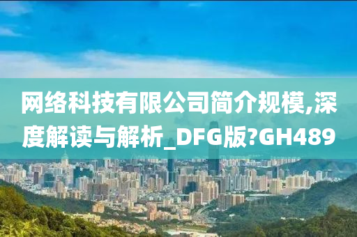 网络科技有限公司简介规模,深度解读与解析_DFG版?GH489