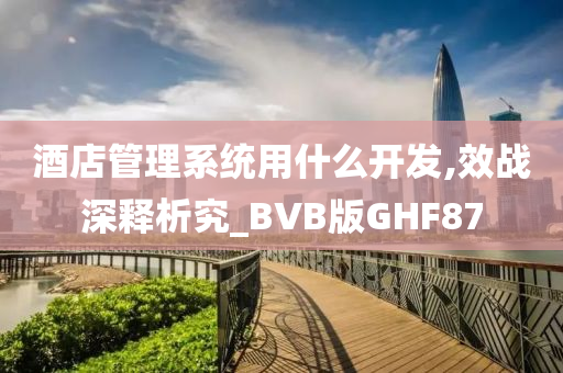 酒店管理系统用什么开发,效战深释析究_BVB版GHF87