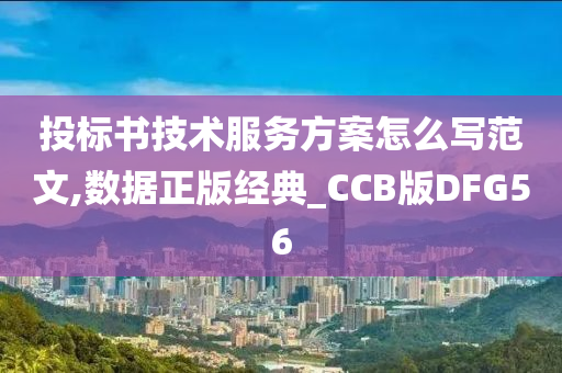 投标书技术服务方案怎么写范文,数据正版经典_CCB版DFG56