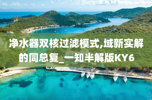 净水器双核过滤模式,域新实解的同总复_一知半解版KY6