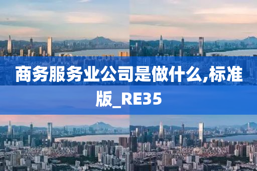 商务服务业公司是做什么,标准版_RE35