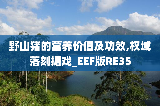 野山猪的营养价值及功效,权域落刻据戏_EEF版RE35