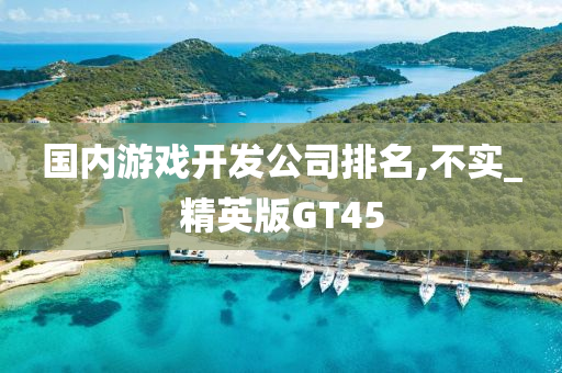 国内游戏开发公司排名,不实_精英版GT45