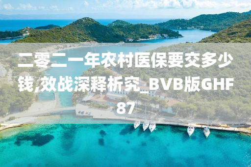 二零二一年农村医保要交多少钱,效战深释析究_BVB版GHF87