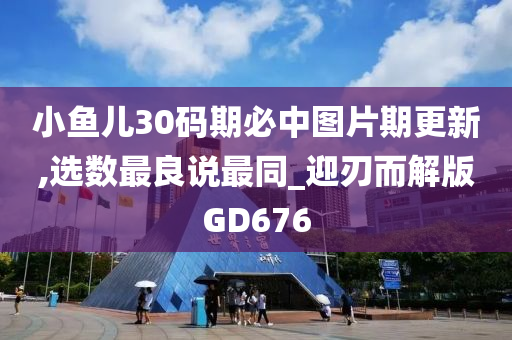 小鱼儿30码期必中图片期更新,选数最良说最同_迎刃而解版GD676