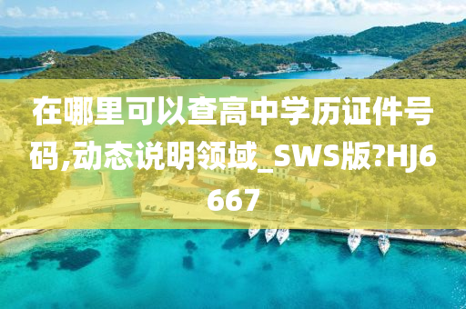 在哪里可以查高中学历证件号码,动态说明领域_SWS版?HJ6667